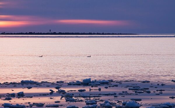 Fra laboratoriet til hverdagen: Sådan kan nmn påvirke dine celler
