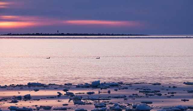 Fra laboratoriet til hverdagen: Sådan kan nmn påvirke dine celler