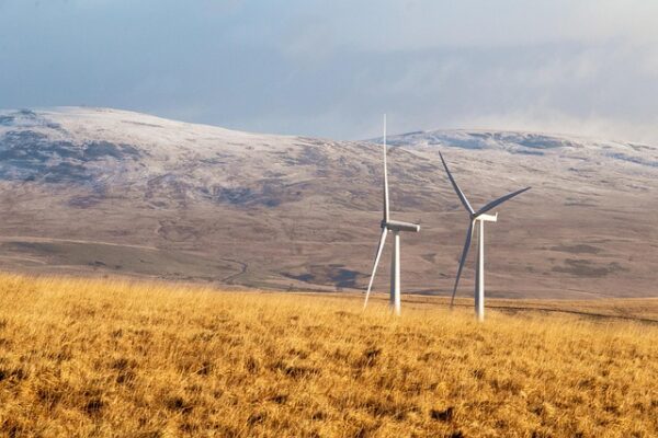 Prisgaranti og grøn strøm: Hvad gør altid energi unik?