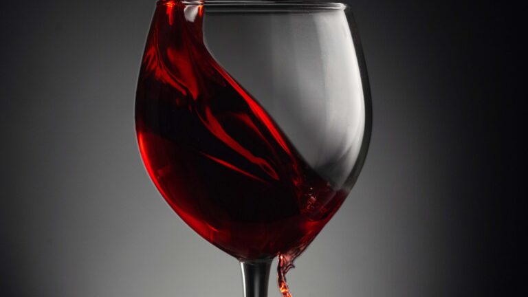 Guide til at smage og bedømme vin som en professionel